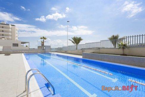 piscina-olimpica-1a-1170x738-jpg-espanabest